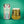 Load image into Gallery viewer, Electric Bear Brewing Co | Read Between The Lines | Kölsch Style | 5.5%