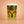Load image into Gallery viewer, HALF HEARTED APOLLOGY - 5.8% IPA
