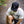 Load image into Gallery viewer, ELECTRIC BEAR X PASTEL CO CAP
