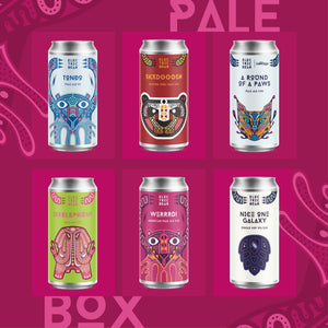 Electric Bear Brewing Co | Pale Box | Craft Beer Mixed Case