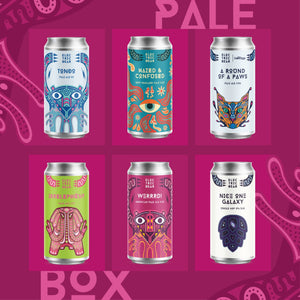 Electric Bear Brewing | Pale Box | Craft Beer Mixed Case