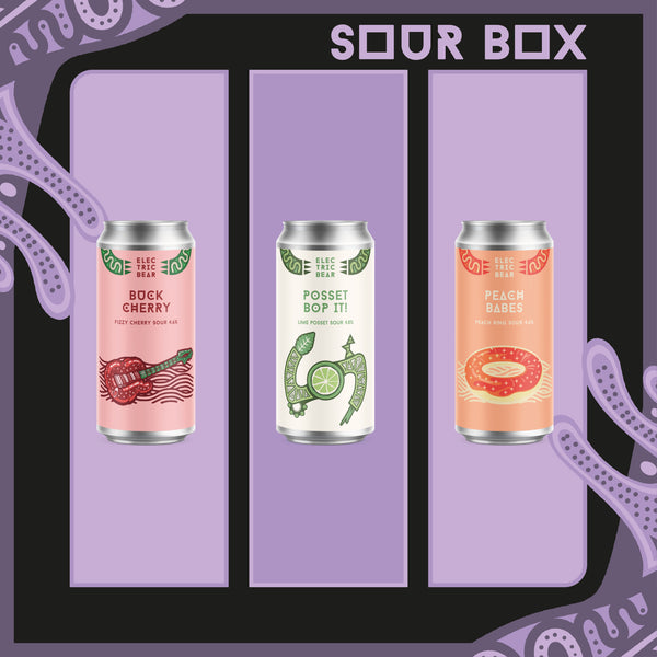 Electric Bear Brewing Co | Sour Box | Craft Beer Mixed Case